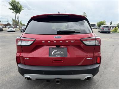 2020 Ford Escape SEL - Photo 6 - Edmonton, AB T5L 4H5