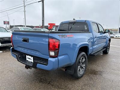 2019 Toyota Tacoma TRD Sport   - Photo 5 - Edmonton, AB T5S 1R1