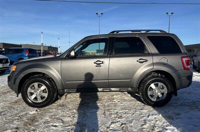 2010 Ford Escape Limited | Loaded | Sunroof | Heated Seats |   - Photo 8 - Edmonton, AB T5S 1R1