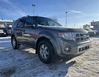 2010 Ford Escape Limited | Loaded | Sunroof | Heated Seats |   - Photo 3 - Edmonton, AB T5S 1R1