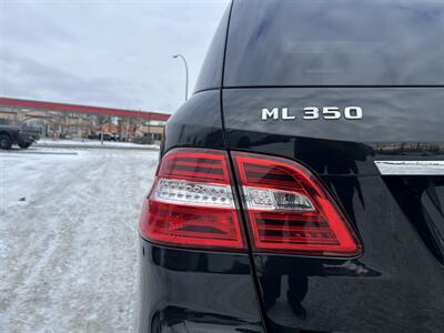 2013 Mercedes-Benz ML 350 BlueTEC - Photo 11 - Edmonton, AB T5L 4H5
