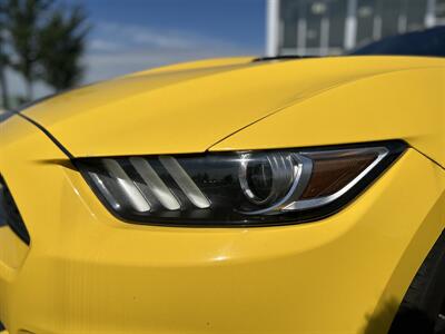 2017 Ford Mustang EcoBoost   - Photo 13 - Edmonton, AB T5L 4H5