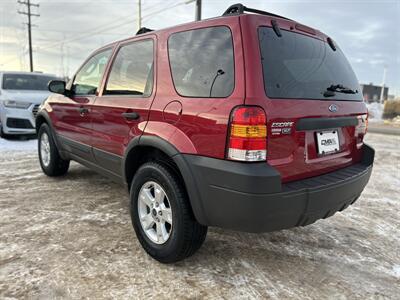 2006 Ford Escape XLT   - Photo 7 - Edmonton, AB T5S 1R1