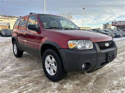 2006 Ford Escape XLT   - Photo 3 - Edmonton, AB T5S 1R1