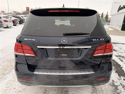 2017 Mercedes-Benz GLE AMG GLE 43   - Photo 6 - Edmonton, AB T5L 4H5