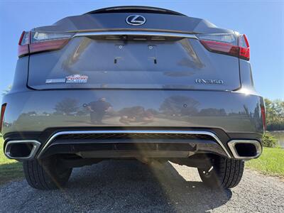 2017 Lexus RX 350 F SPORT   - Photo 6 - Greensburg, IN 47240-9353