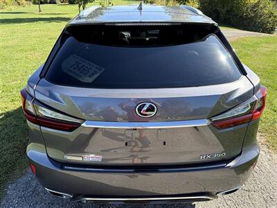 2017 Lexus RX 350 F SPORT - Photo 5 - Greensburg, IN 47240-9353