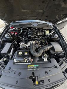 2005 Ford Mustang V6 Deluxe   - Photo 10 - Anaheim, CA 92805