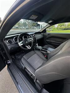 2005 Ford Mustang V6 Deluxe   - Photo 5 - Anaheim, CA 92805