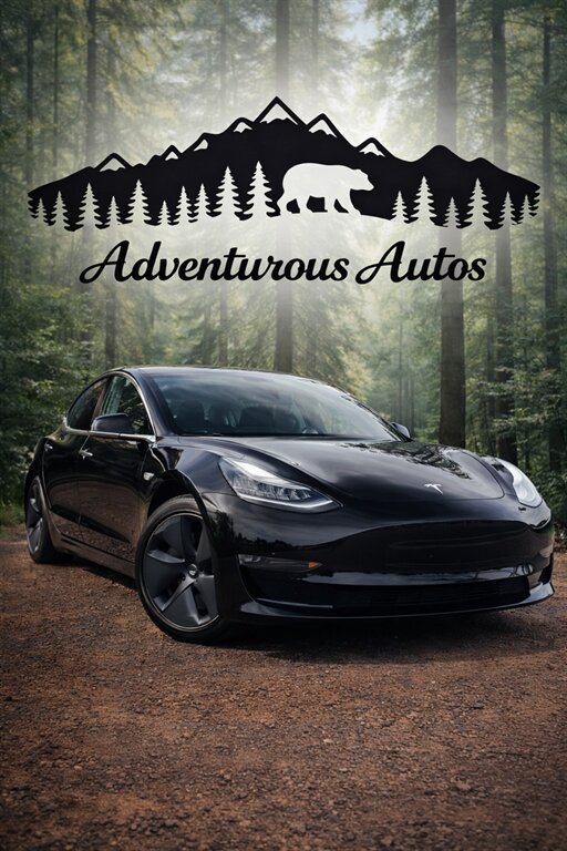 2018 Tesla Model 3's photo