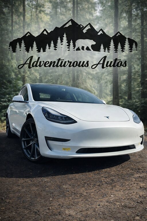2020 Tesla Model 3 Long Range   - Photo 1 - Riverside, CA 92505