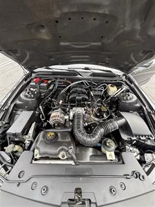 2008 Ford Mustang V6 Deluxe   - Photo 11 - Riverside, CA 92505