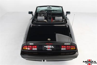 1989 Alfa Romeo Spider Quadrifoglio - Photo 71 - Houston, TX 77024