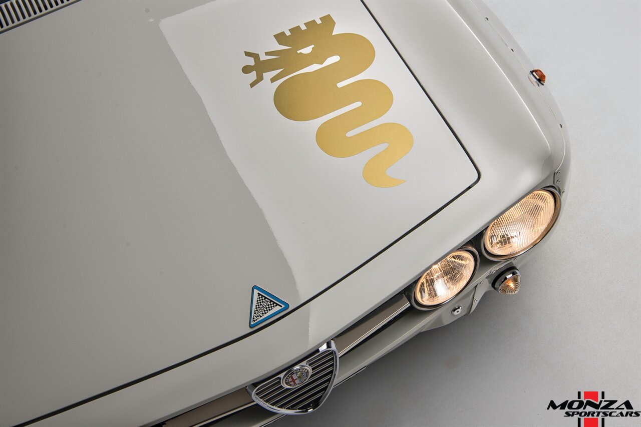 1976 Alfa Romeo GTAm Tribute - Photo 62 - Houston, TX 77024