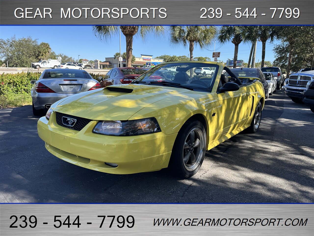 2003 Ford Mustang GT Premium - Photo 11 - Estero, FL 33928