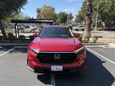 2025 Honda CR-V EX-L   - Photo 12 - Riverside, CA 92501