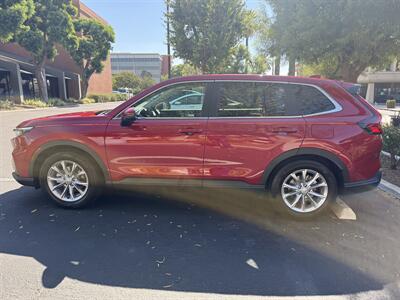 2025 Honda CR-V EX-L   - Photo 6 - Riverside, CA 92501