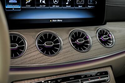 2019 Mercedes-Benz CLS CLS 450 4MATIC - Photo 37 - Joliet, IL 60435