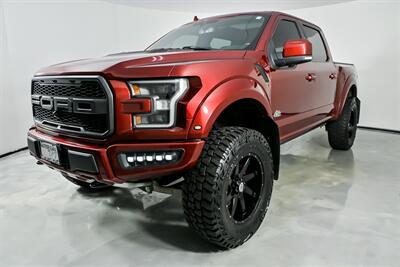 2019 Ford F-150 Raptor-ROCKY RIDGE BUILD! - Photo 6 - Joliet, IL 60435