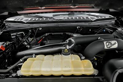 2019 Ford F-150 Raptor-ROCKY RIDGE BUILD! - Photo 17 - Joliet, IL 60435