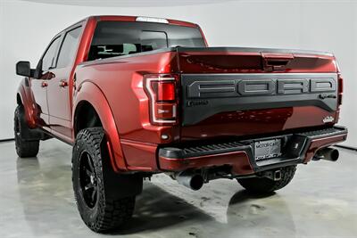 2019 Ford F-150 Raptor-ROCKY RIDGE BUILD! - Photo 10 - Joliet, IL 60435
