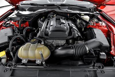 2019 Ford Mustang EcoBoost   - Photo 17 - Joliet, IL 60435
