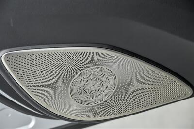 2023 Mercedes-Benz GLS AMG GLS 63   - Photo 19 - Joliet, IL 60435