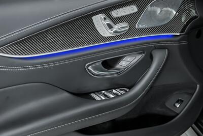 2019 Mercedes-Benz AMG GT 63-HUGE $165K MSRP-FACTORY MATTE PAINT! - Photo 18 - Joliet, IL 60435