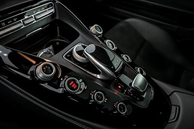 2017 Mercedes-Benz AMG GT   - Photo 34 - Joliet, IL 60435