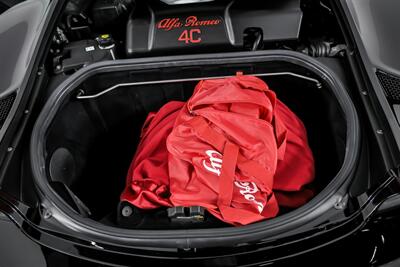 2020 Alfa Romeo 4C Spider   - Photo 18 - Joliet, IL 60435