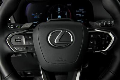 2024 Lexus GX 550 Overtrail+   - Photo 31 - Joliet, IL 60435