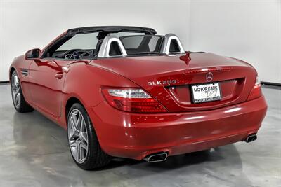2013 Mercedes-Benz SLK SLK 250   - Photo 10 - Joliet, IL 60435