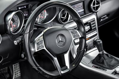 2013 Mercedes-Benz SLK SLK 250   - Photo 28 - Joliet, IL 60435
