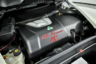 2016 Alfa Romeo 4C   - Photo 13 - Joliet, IL 60435