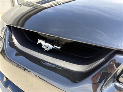 2002 Ford Mustang Saleen S281 - Photo 22 - Statesville, NC 28677