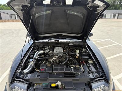 2002 Ford Mustang Saleen S281 - Photo 39 - Statesville, NC 28677
