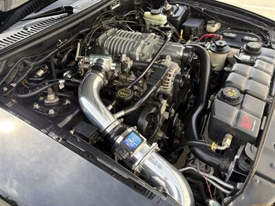 2002 Ford Mustang Saleen S281 - Photo 43 - Statesville, NC 28677