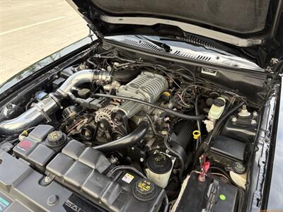 2002 Ford Mustang Saleen S281 - Photo 46 - Statesville, NC 28677