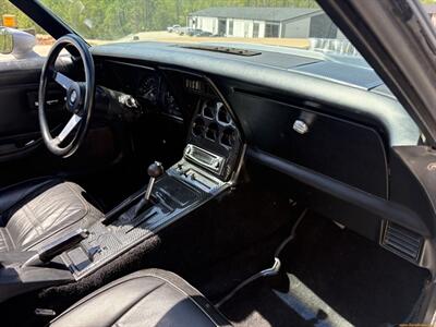 1978 Chevrolet Corvette 25th Anniversary   - Photo 63 - Statesville, NC 28677
