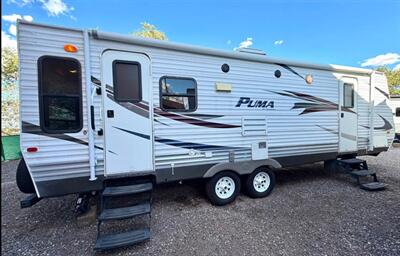 2010 Palomino Puma