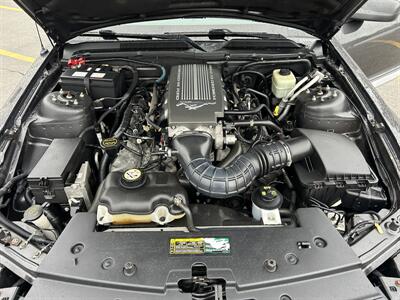 2007 Ford Mustang GT Deluxe   - Photo 14 - Winchester, VA 22601