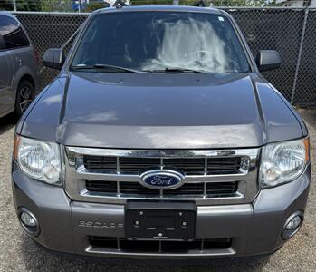 2011 Ford Escape XLT   - Photo 4 - Elkhart, IN 46514