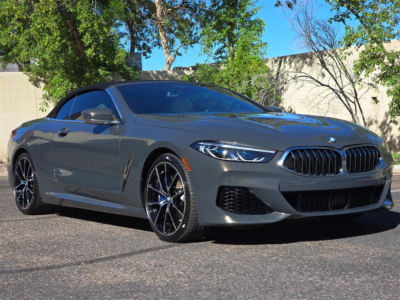 2019 BMW 8 Series M850i xDrive  Convertible - Photo 3 - Mesa, AZ 85215