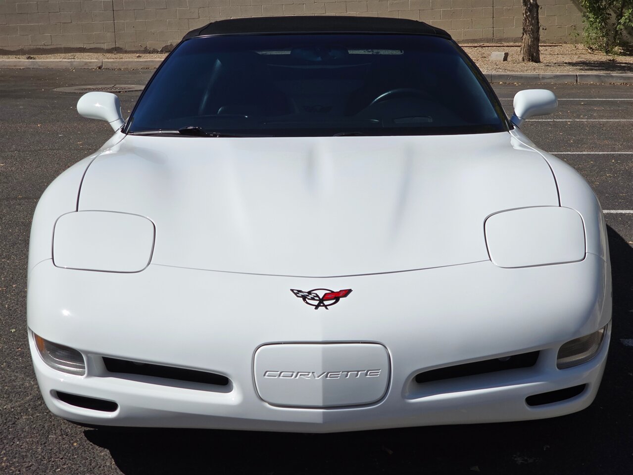 2004 Chevrolet Corvette Convertible - Photo 4 - Mesa, AZ 85215