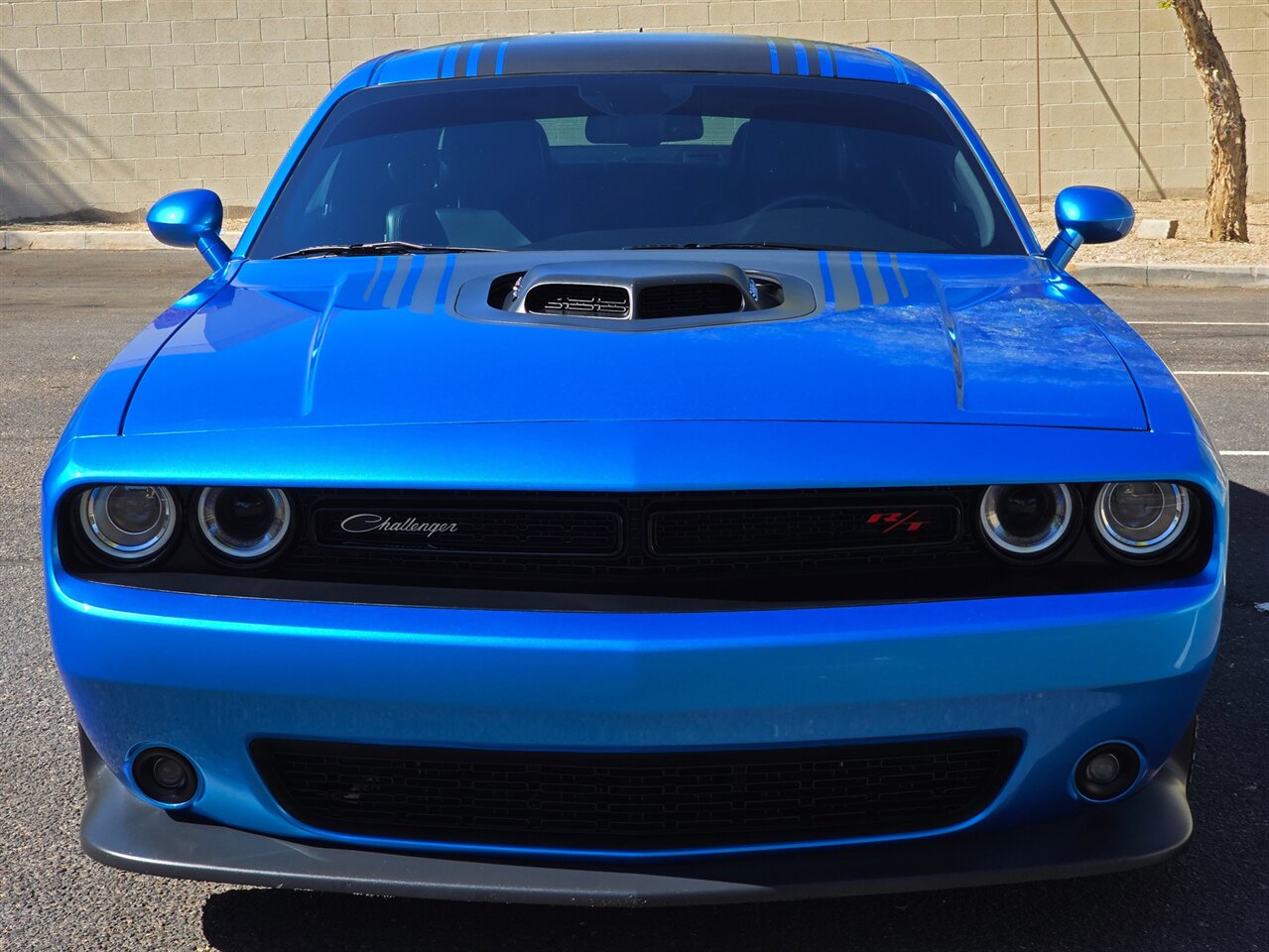 2016 Dodge Challenger 392 HEMI Scat Pack Shaker - Photo 3 - Mesa, AZ 85215