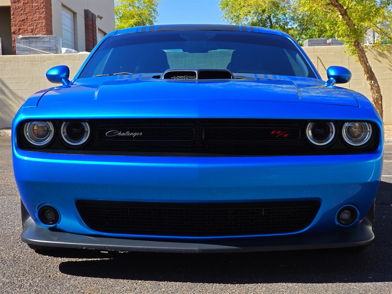 2016 Dodge Challenger 392 HEMI Scat Pack Shaker - Photo 4 - Mesa, AZ 85215