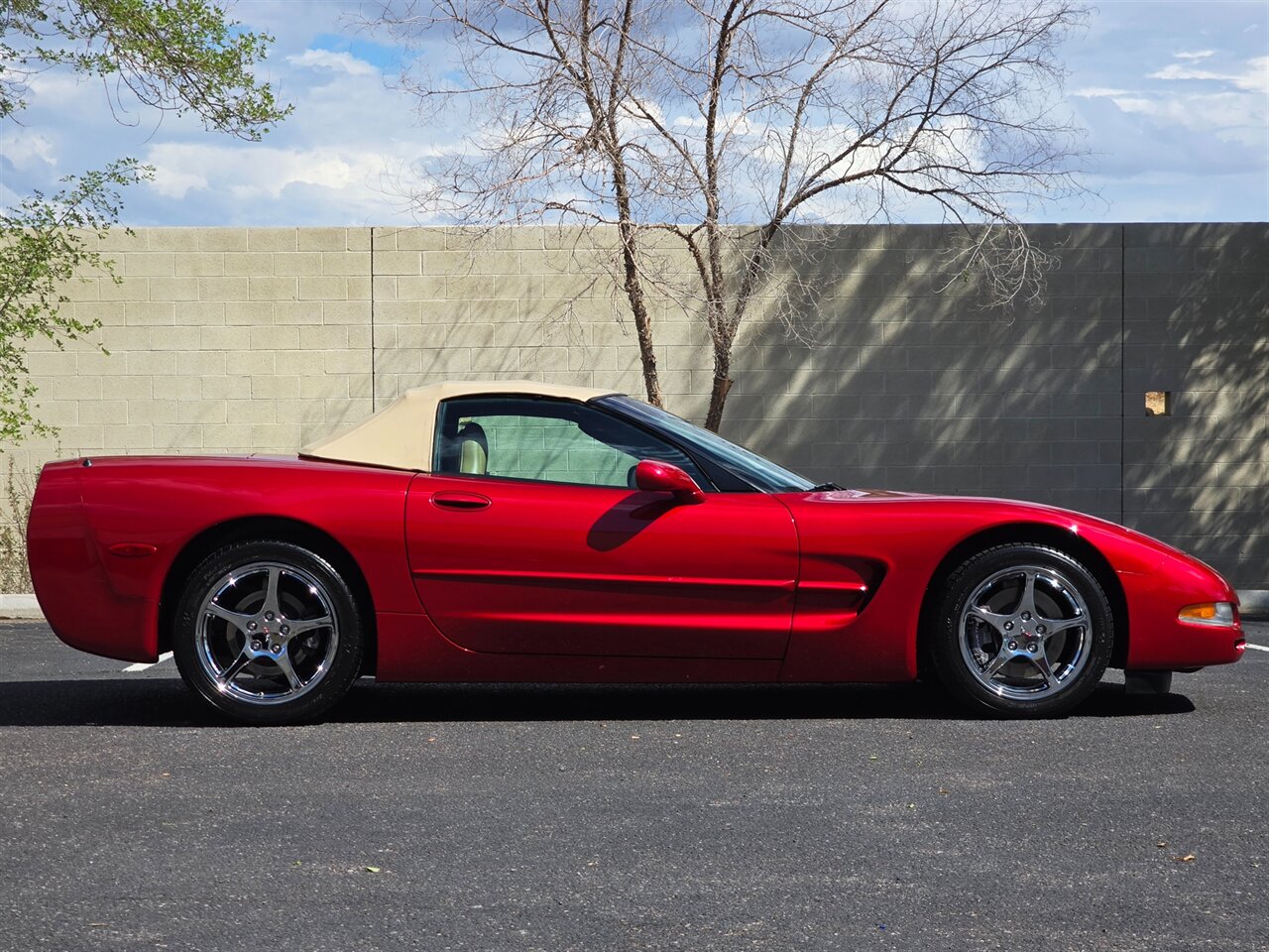 2004 Chevrolet Corvette Convertible photo 13