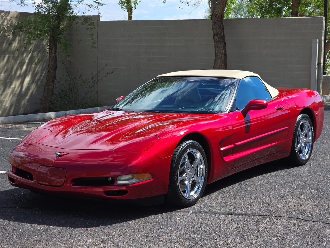 2004 Chevrolet Corvette Convertible photo 8