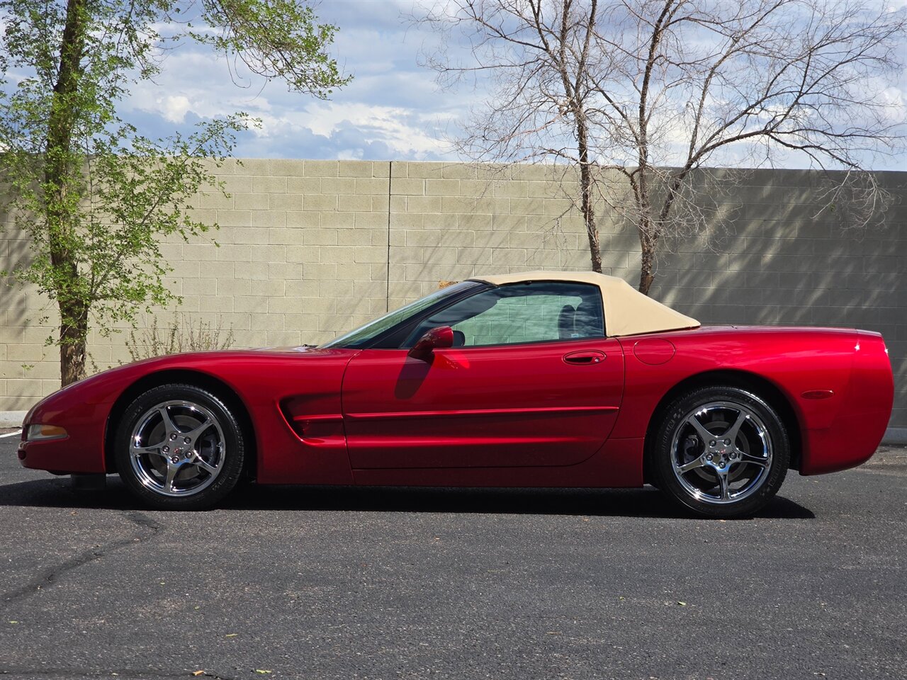 2004 Chevrolet Corvette Convertible photo 9