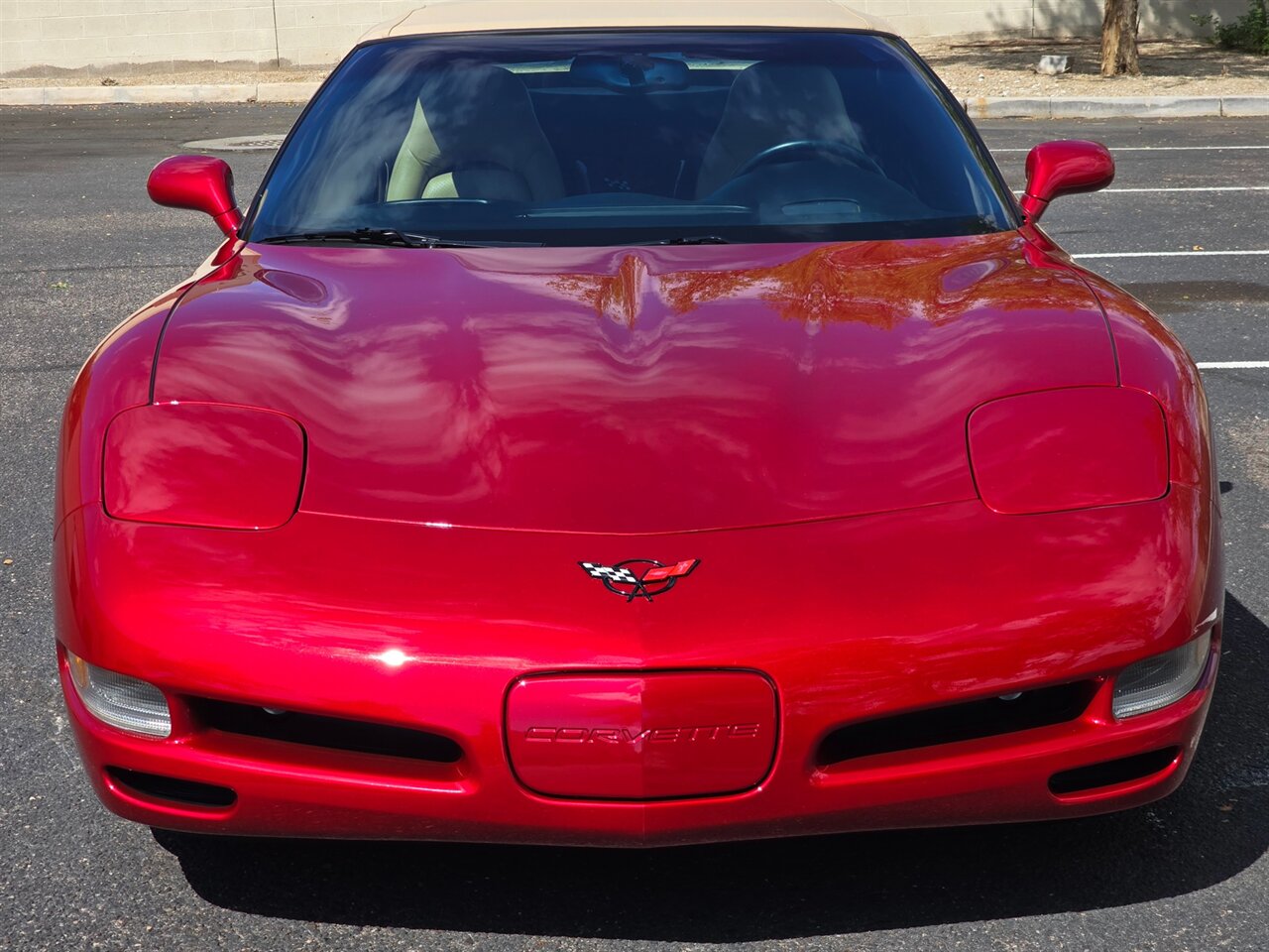 2004 Chevrolet Corvette Convertible photo 5